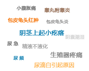 男科病症种类